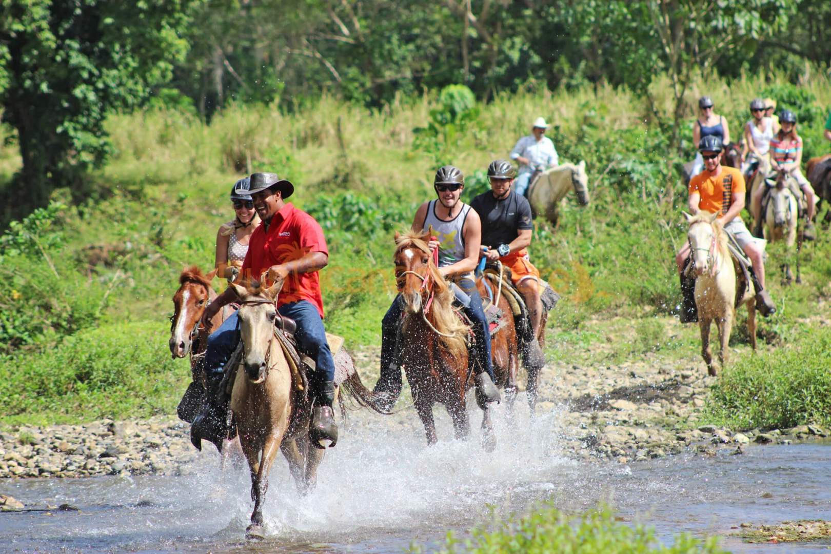 Horseback Riding and Ziplining Cultural EcoTour Book Online from 99