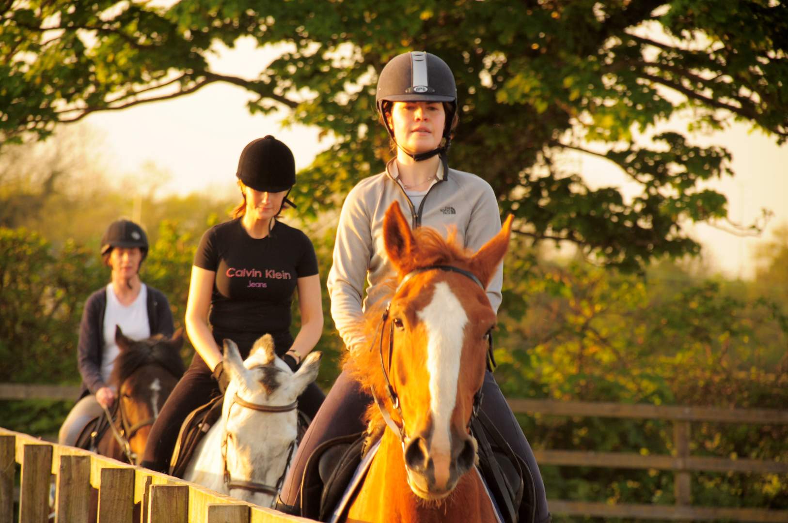 Верхом на лошади. Верхом на лошади. Прогулка на лошадях. Прогулка на лошадях. Райдинг.
