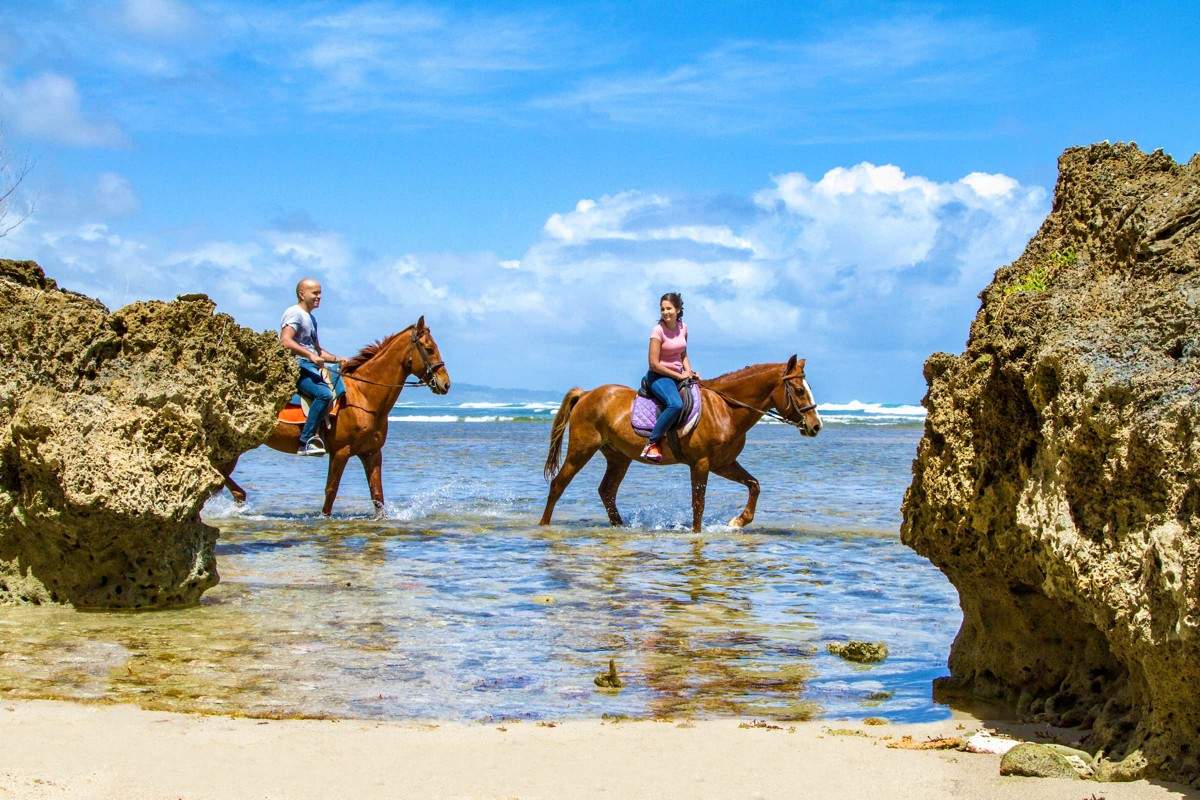 Barbados horseback activities excursions riding island beach cruise