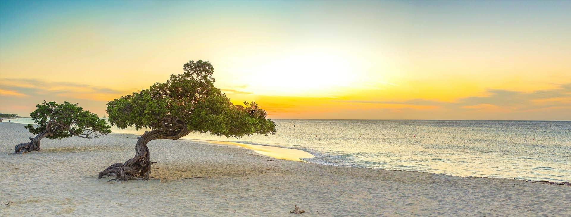 Finish your Aruba sightseeing on the world famous Eagle beach and watch the Caribbean sunset