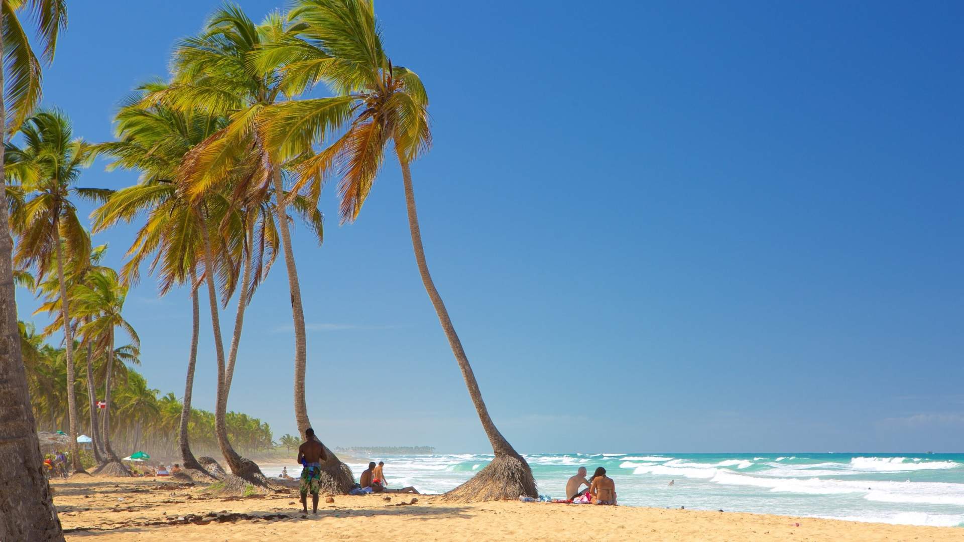 If in doubt, paddle out on the world-famous waves of Macao Beach! Surf’s up!