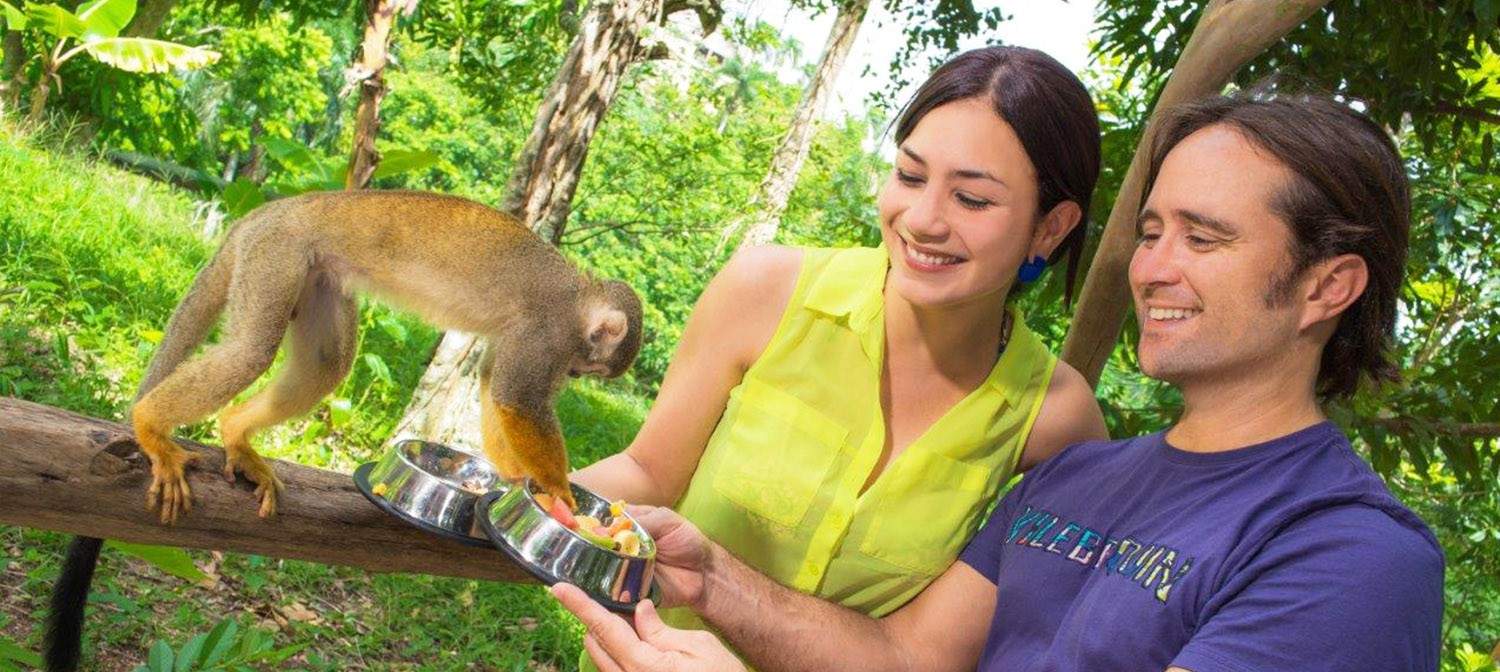 Take a mandatory monkey selfie at Monkeyland with the super friendly squirrel monkeys