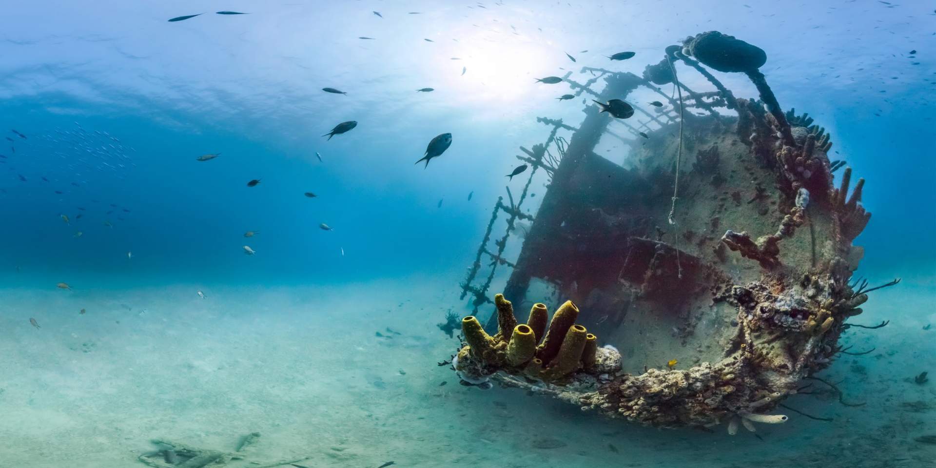 SS Antilla shipwreck in Aruba