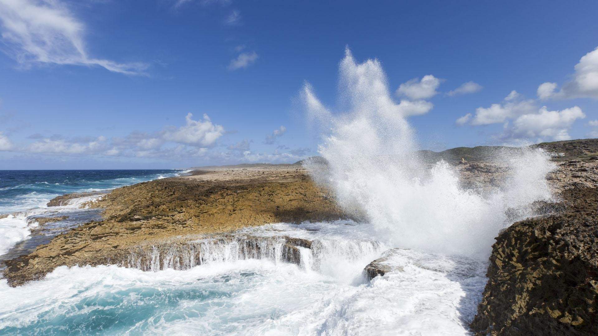 The main attractions of the rugged Shete Boka National Park are all must-sees in Curaçao