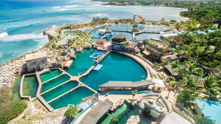 Sea Lion Encounter At Ocean World Adventure Park In Puerto Plata Book