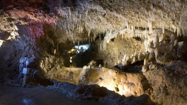 Image 14