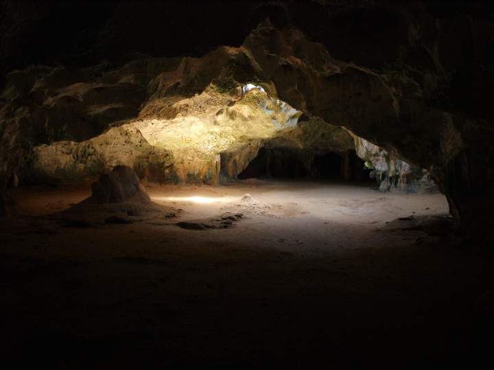 Image 9