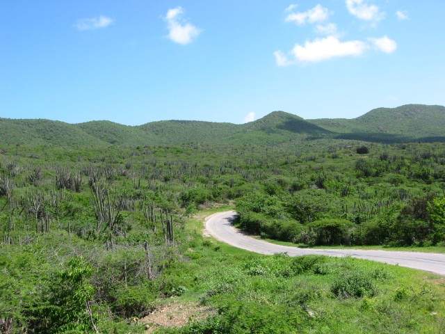 Image 11