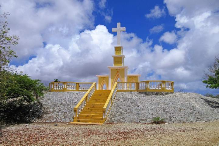 Image 6