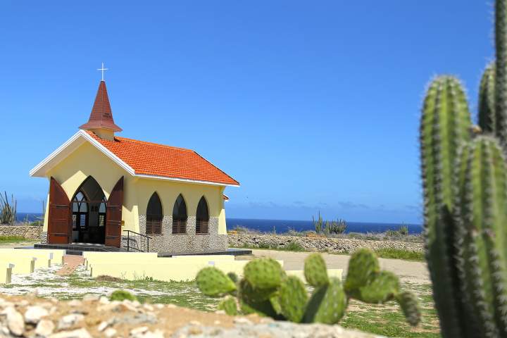 Image 7