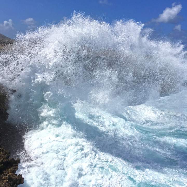 Image 12
