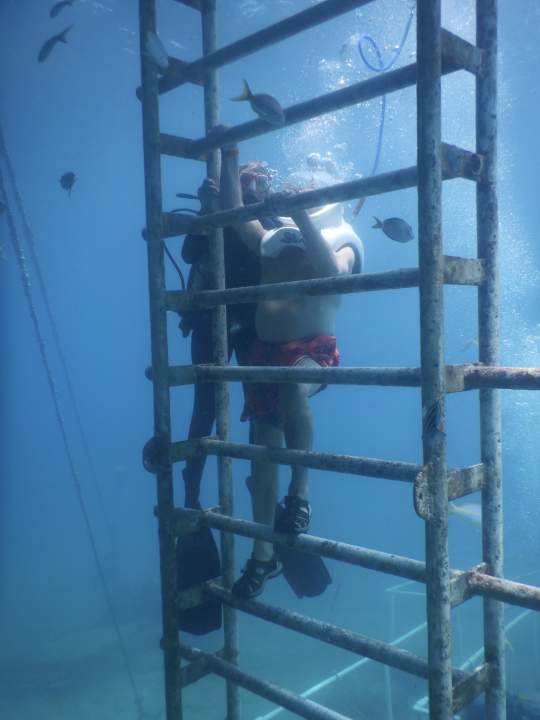 Image 11