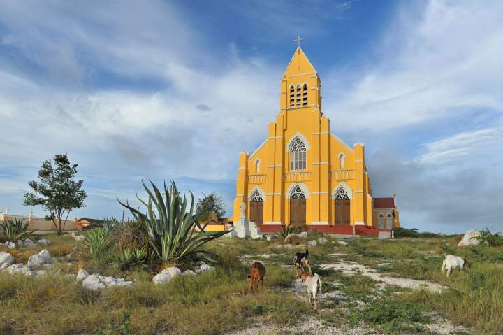 Image 6