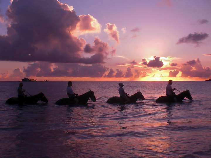 Horseback Riding In Sint Maarten: Sunset Champagne Tour - Book Online ...