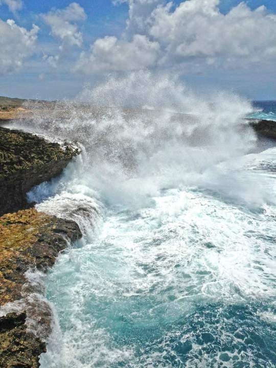 Image 15