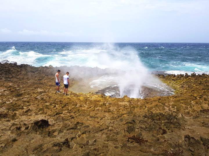 Image 6