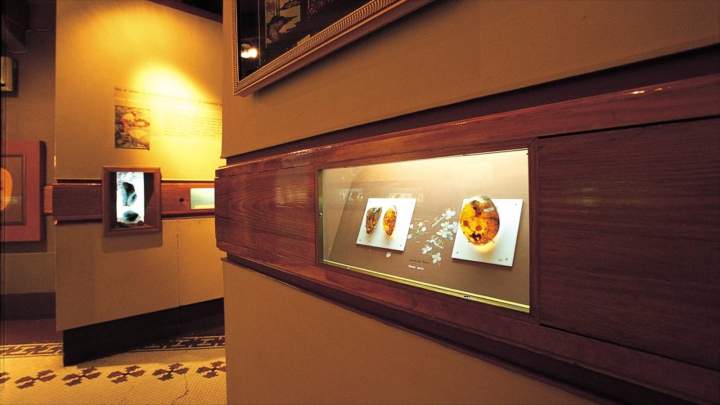 Image 7