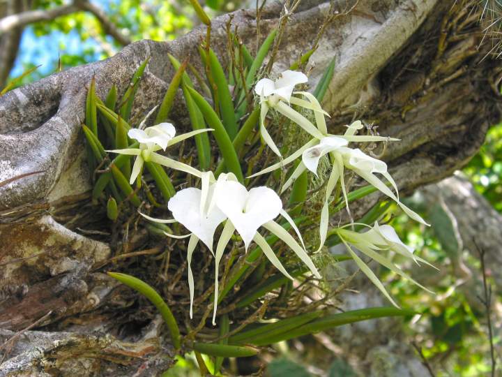 Image 13