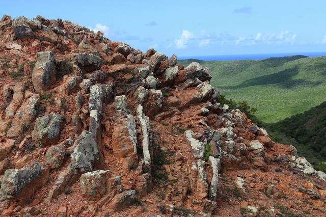 Image 14