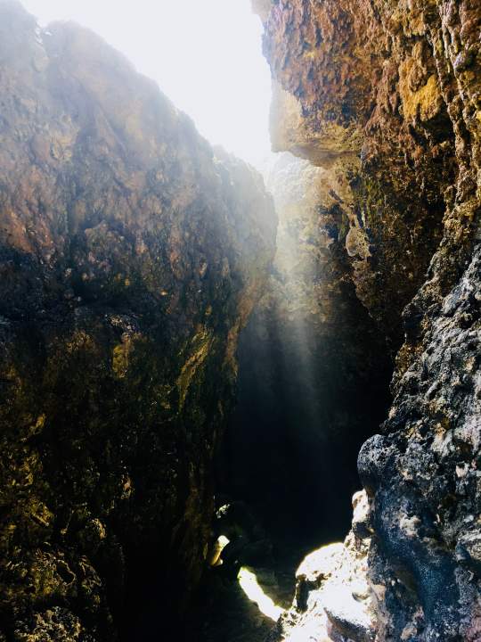 Image 13