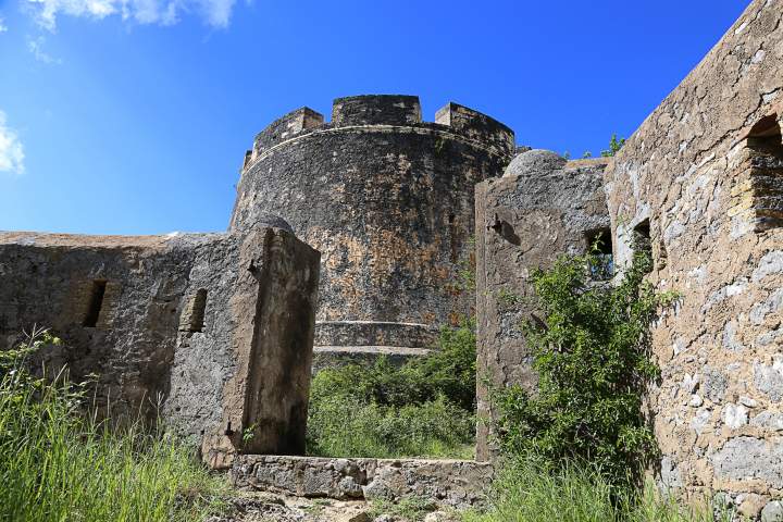 Image 9