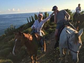 Horseback Riding In Sint Maarten: Sunset Champagne Tour - Book Online ...