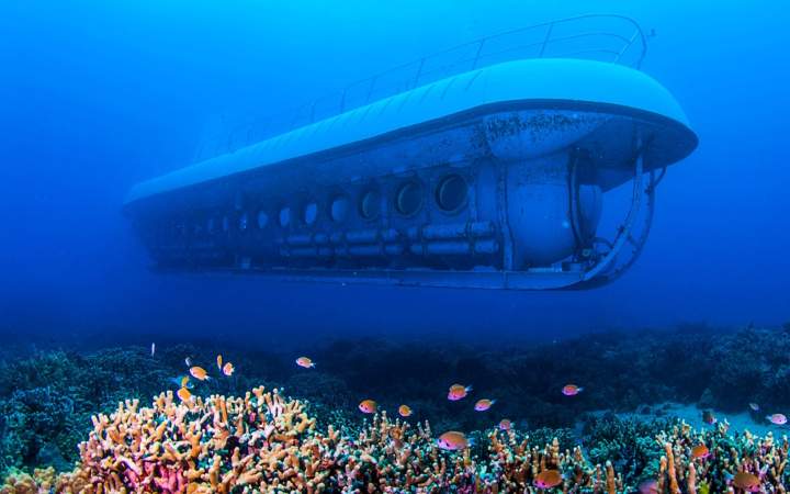 Harrison's Cave & Submarine Adventure In Barbados - Book Online From $175