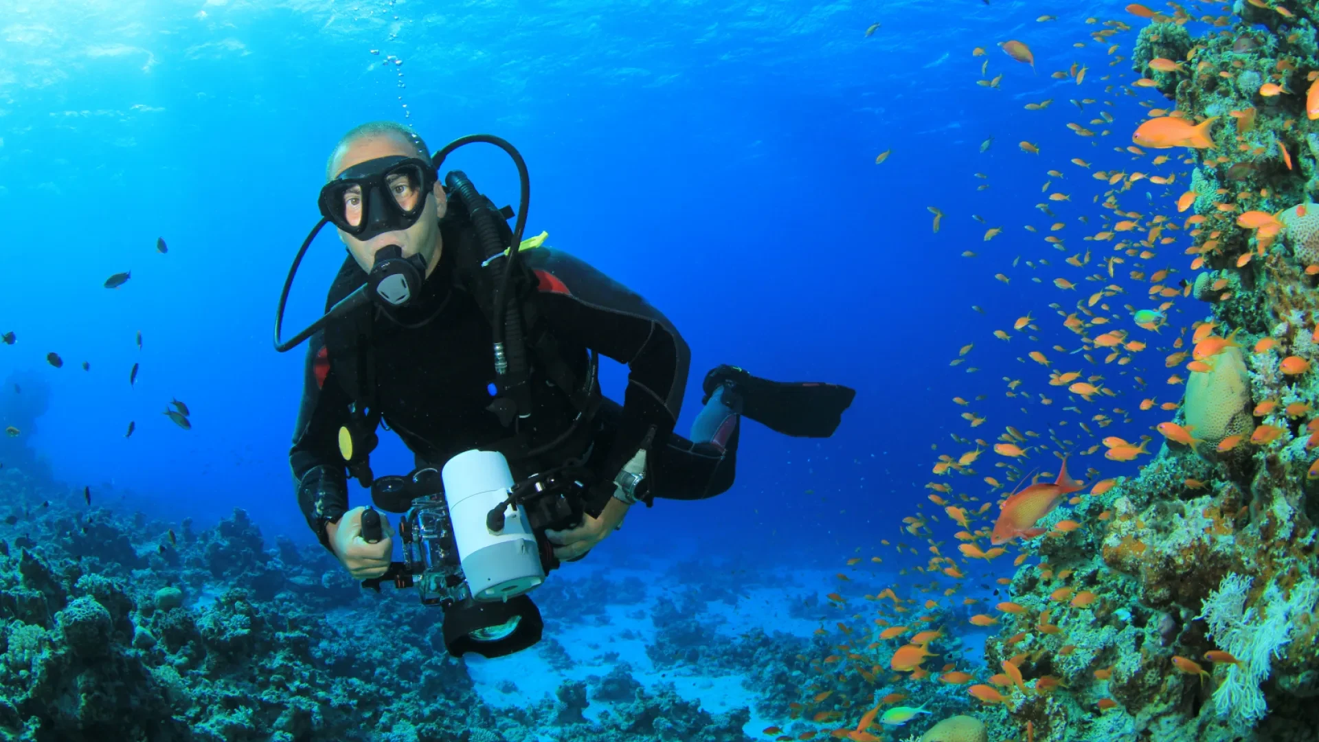 Scuba Diving in Aruba