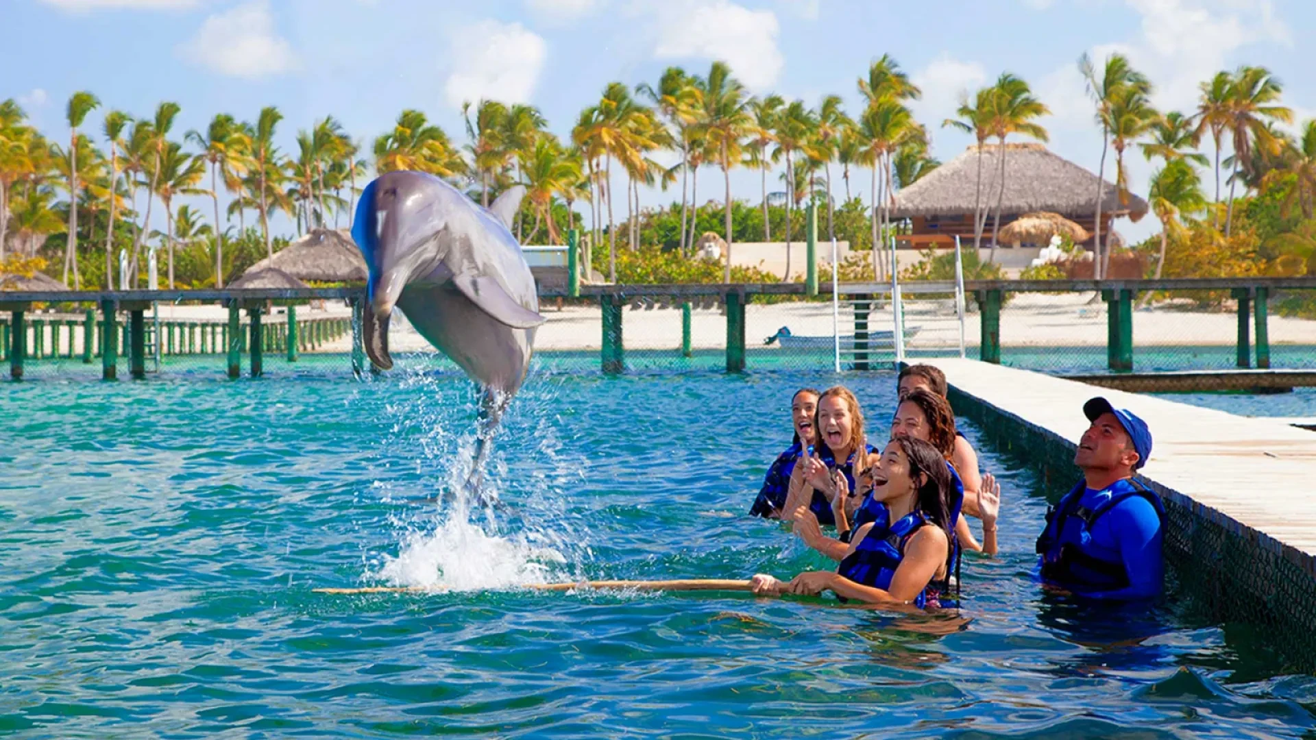 Dolphin Swim at Ocean World Adventure Park in Puerto Plata