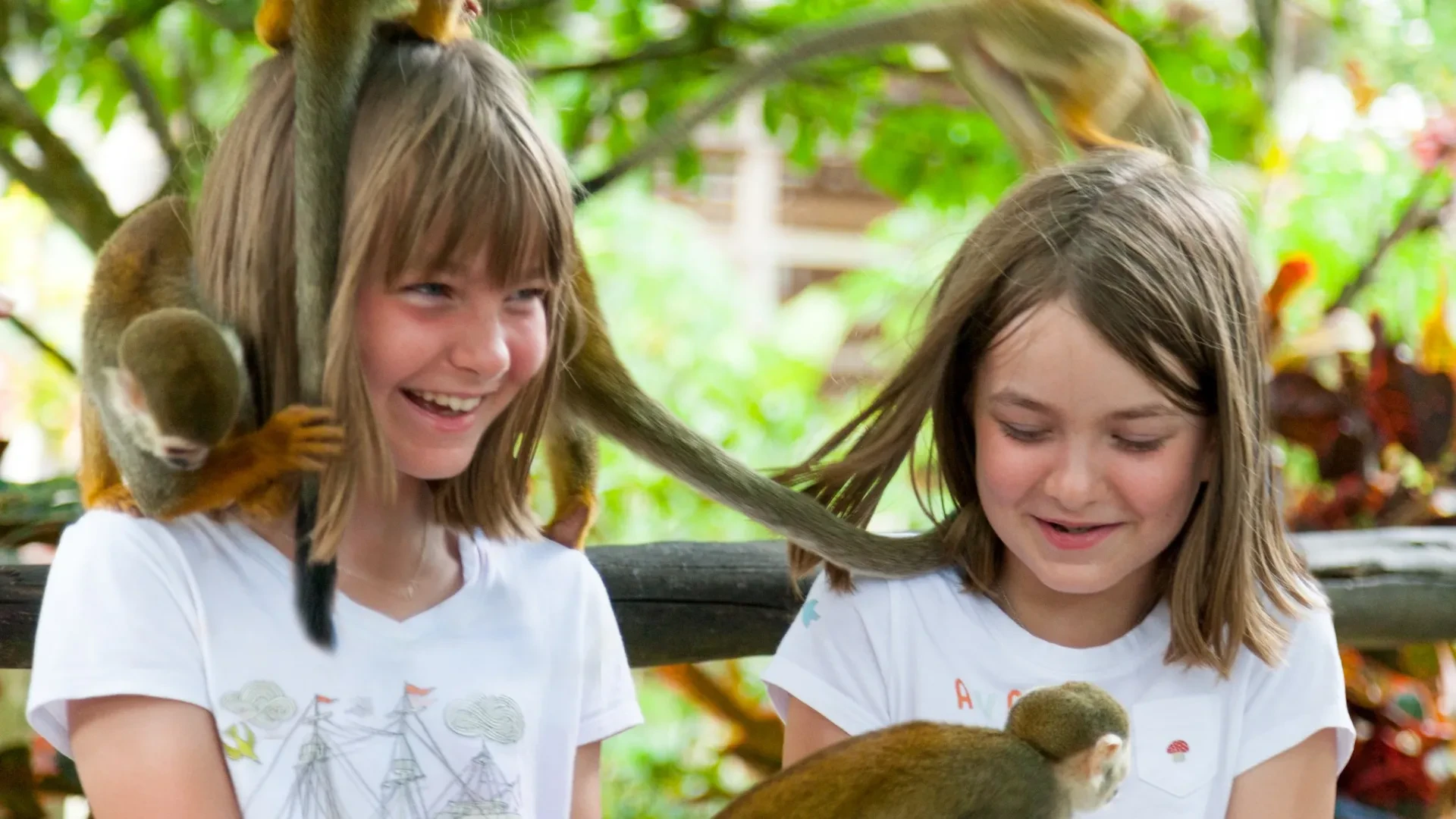 Monkeyland Adventure from Boca Chica and Juan Dolio