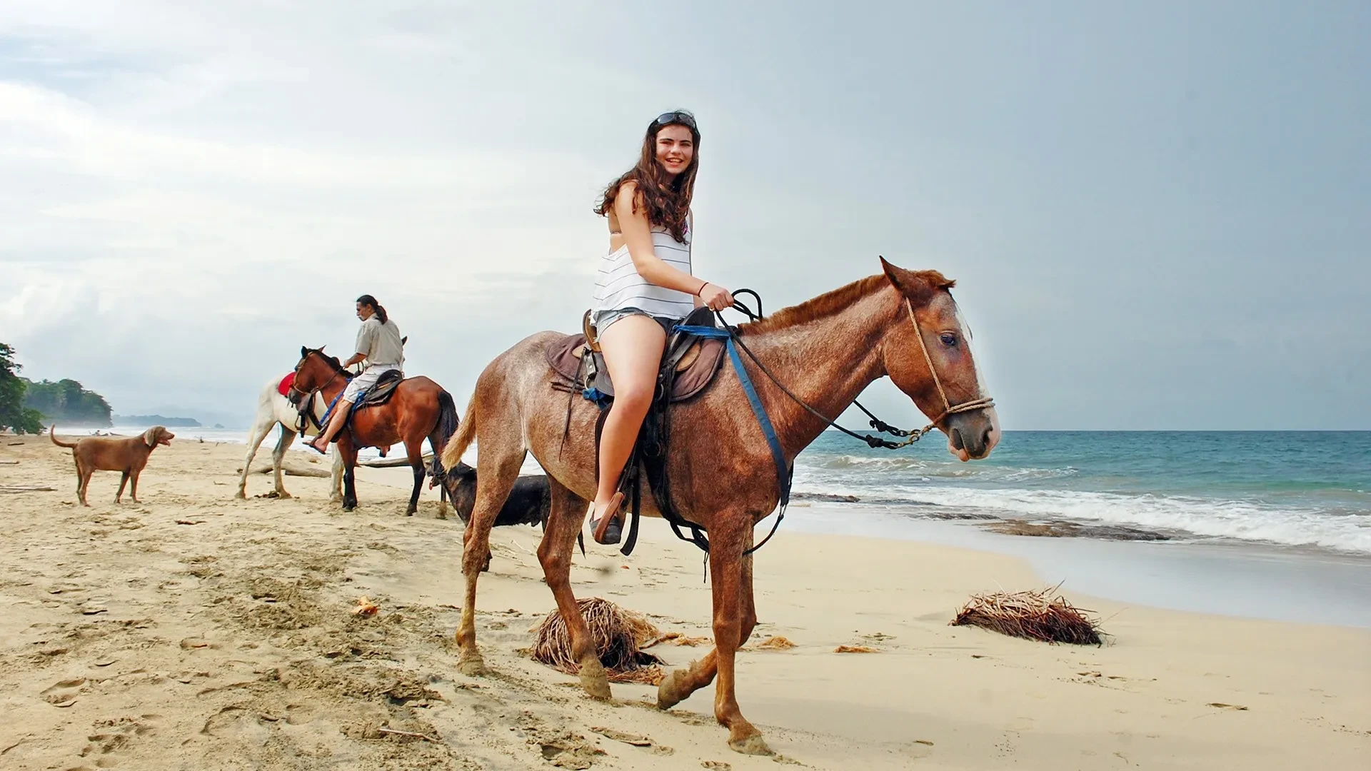 Horseback Riding in Aruba: Beach and Countryside
