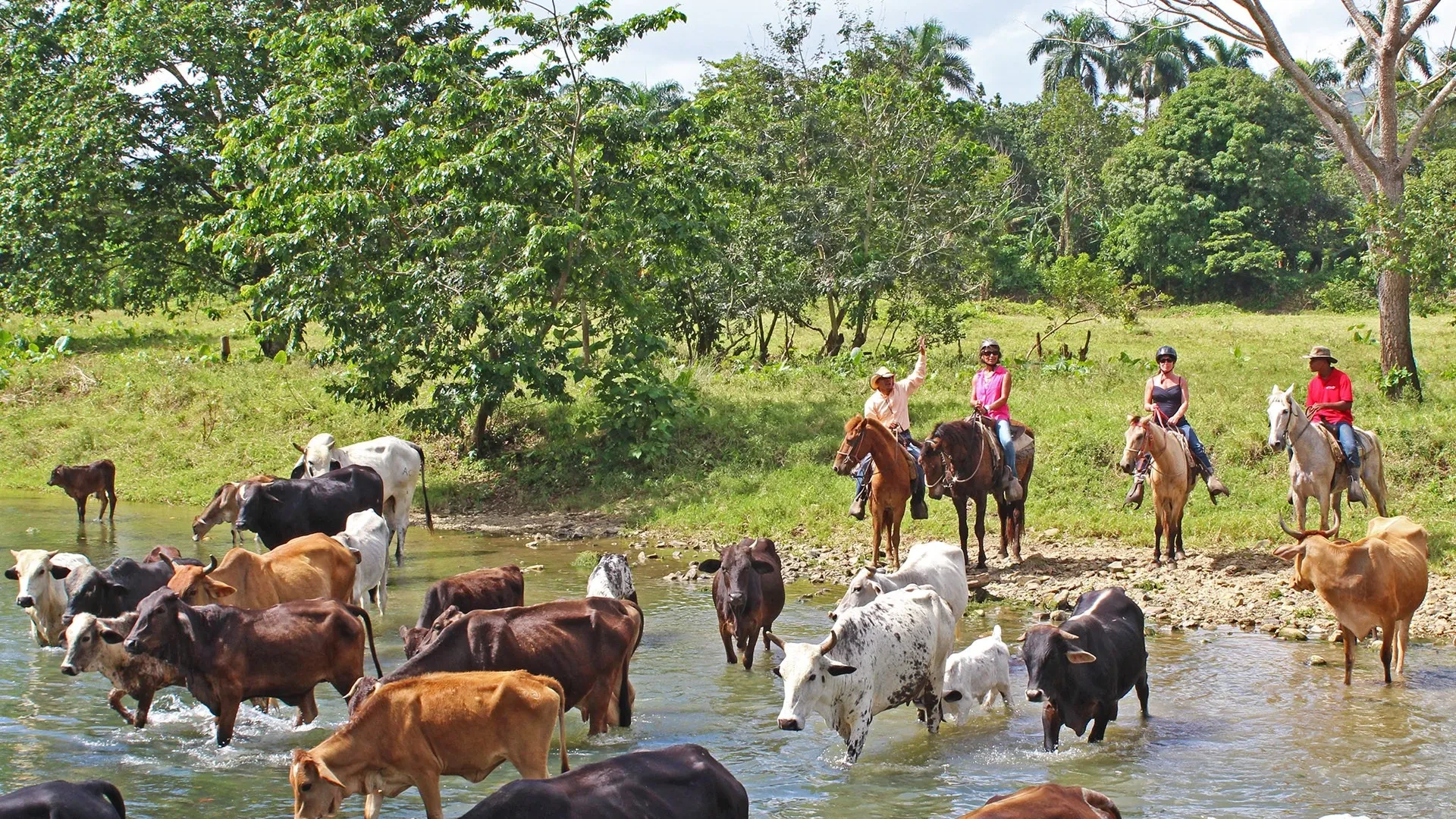 Horseback Riding with Cattle Drive and Ziplining