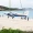 Airplane lifted off of the beach in St. Barth