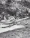 Remy de Haenen flies his seaplane in St. Jean Bay