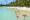 Aruba