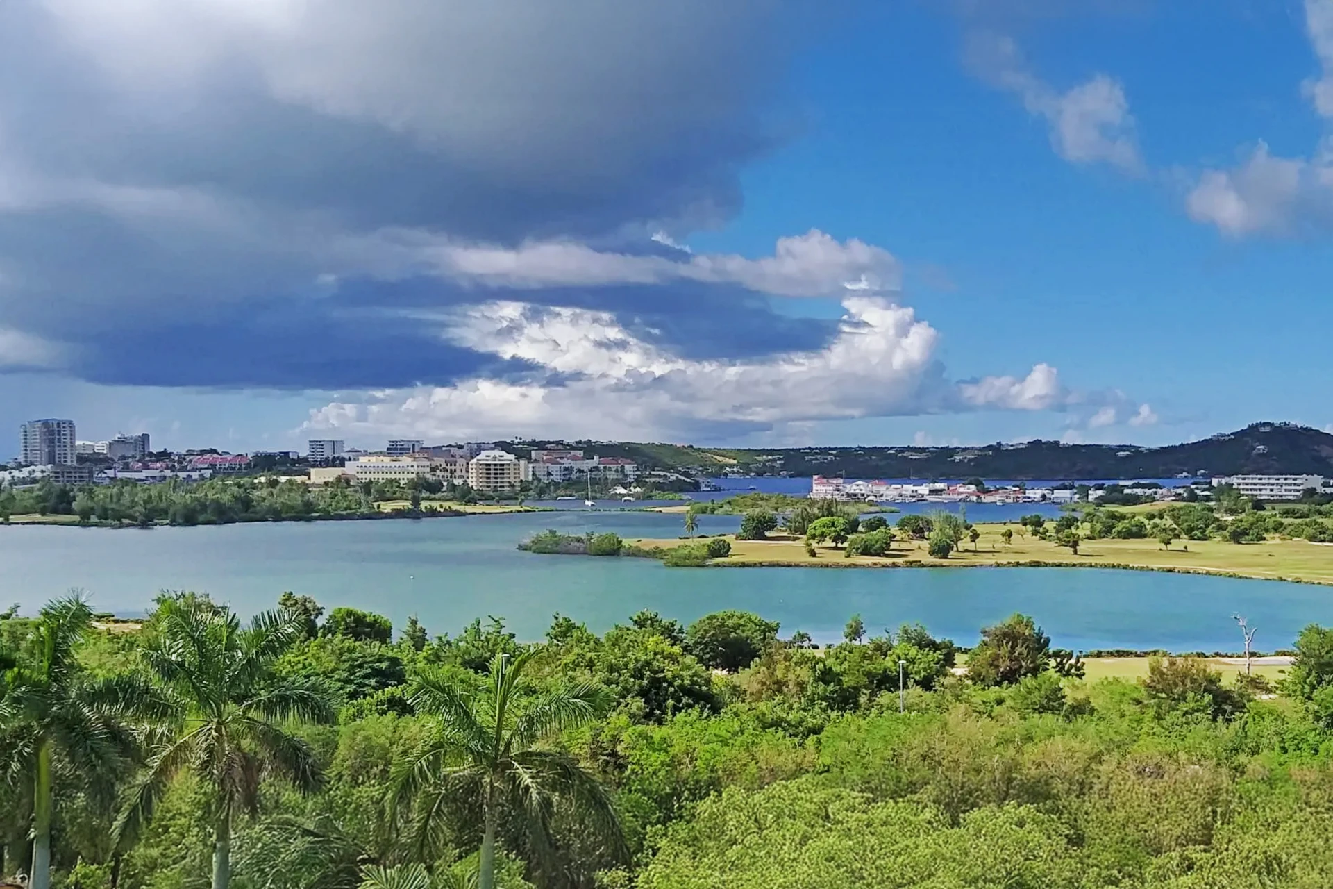 Mullet Pond St. Maarten wildlife