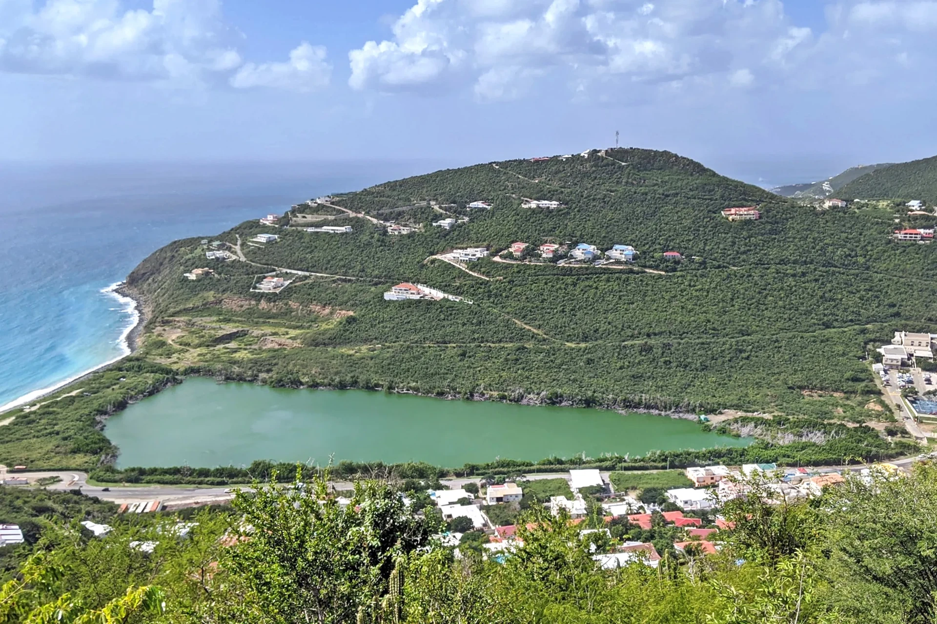 Little Bay Pond St. Maarten animal encounters