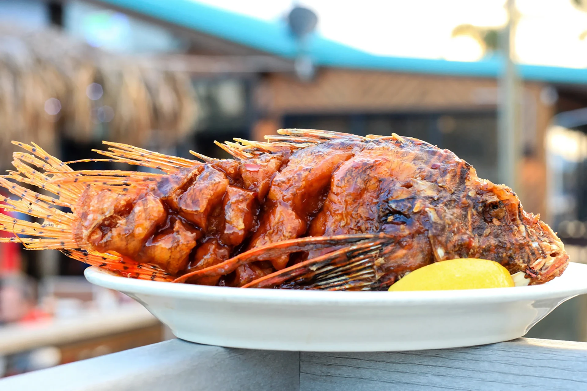 Curacao fried lionfish