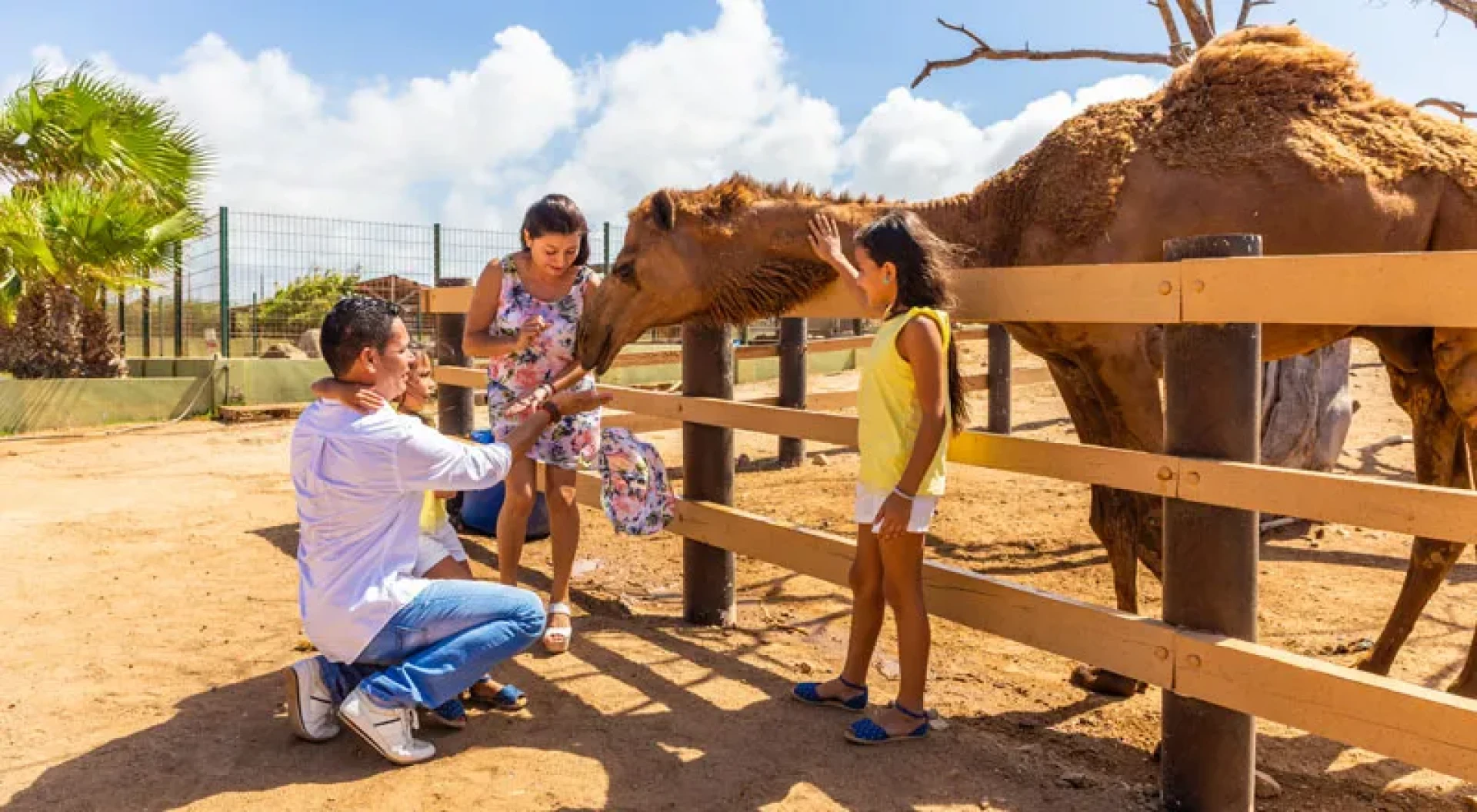 ABC Islands family vacation