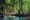 Take a guided tour through the mangrove forests of Los Haitises National Park for an unparalleled experience