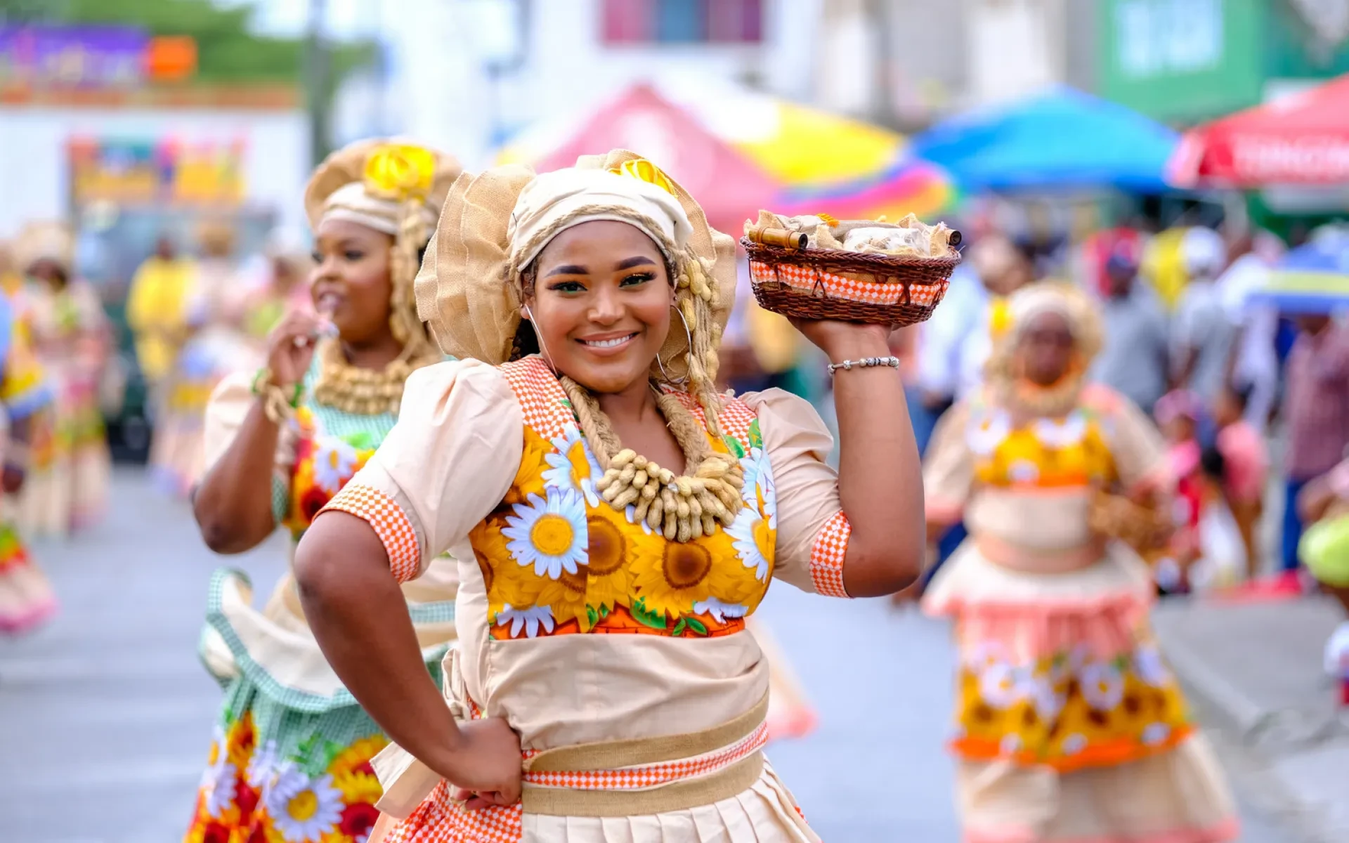 69 Curacao Fun Facts: How Many Of These Secrets Do You Know?