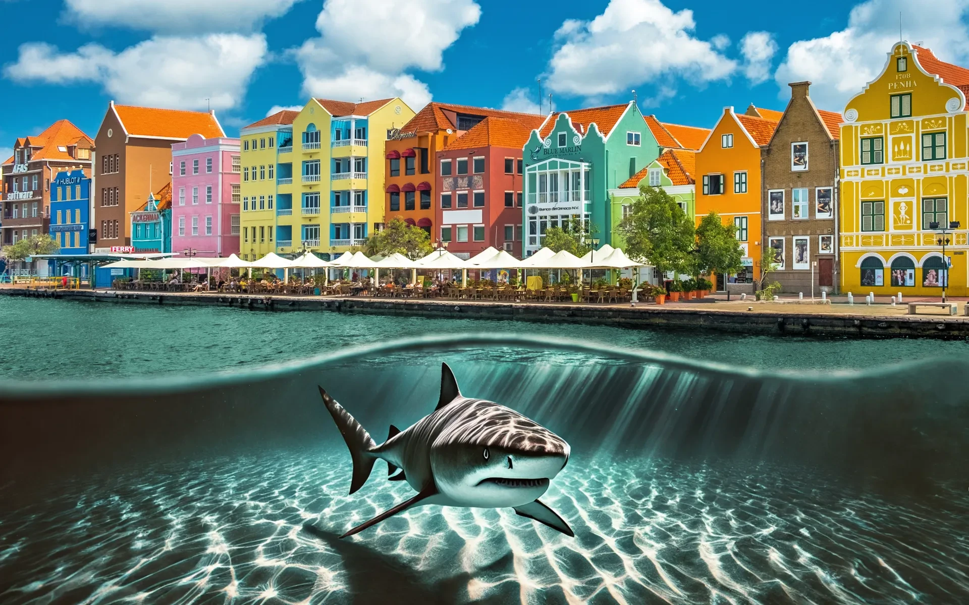 Curacao Shark Attacks: Statistics & Safety Tips In 2026