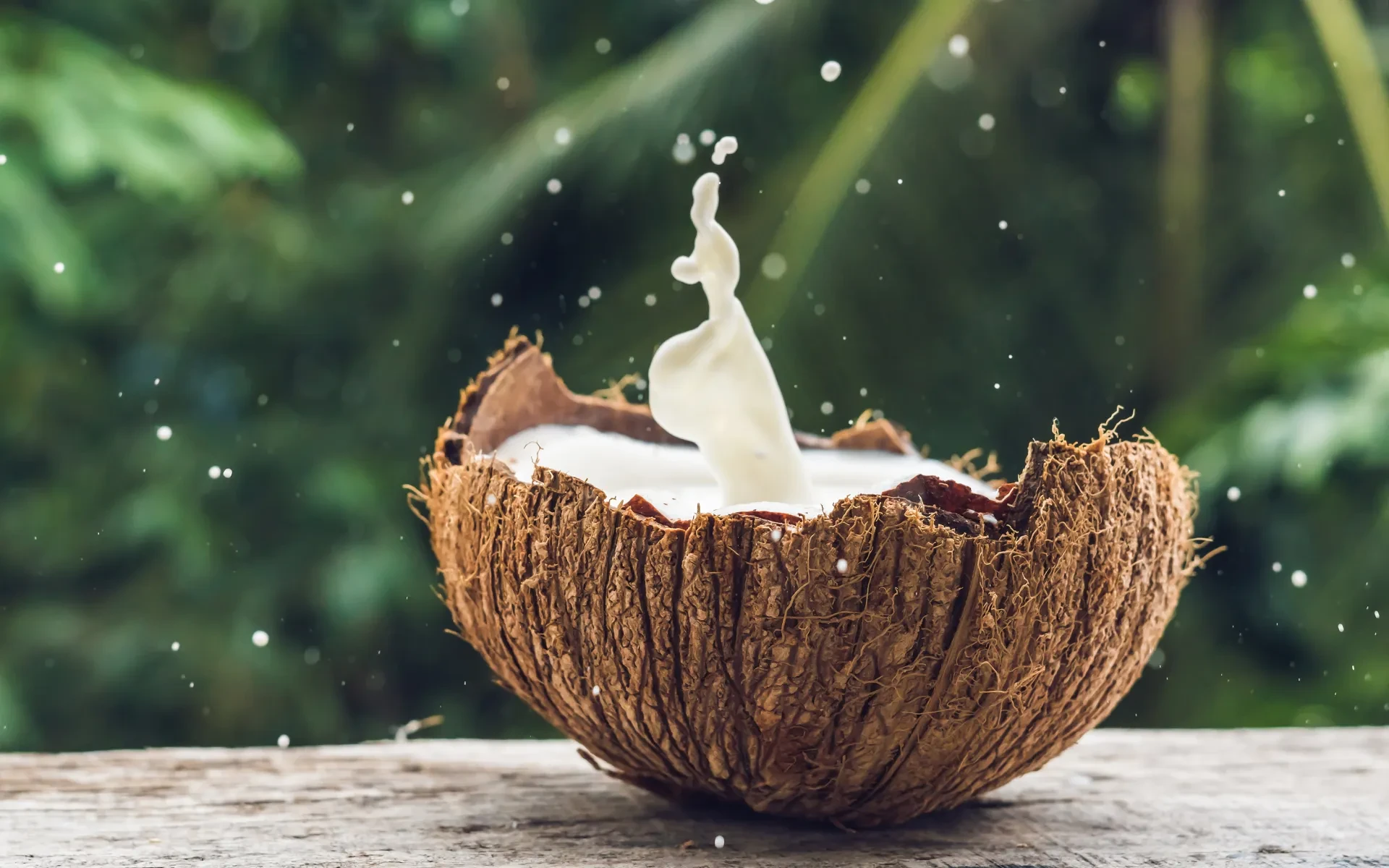 Fresh coconut with high nutrition value in 2025
