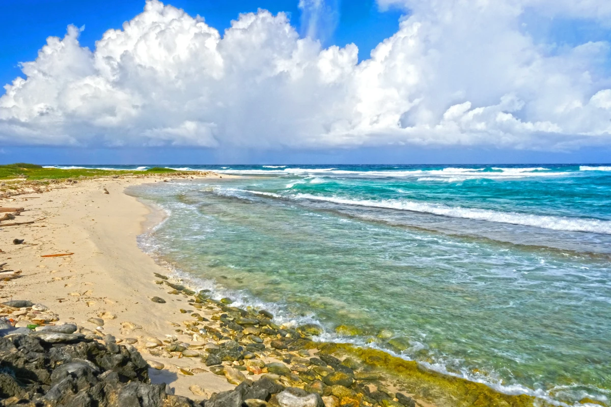 Bachelor's Beach - 1