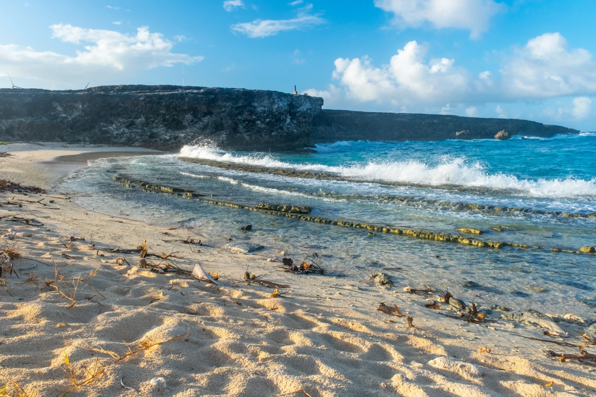 Beach di Fossil - 1
