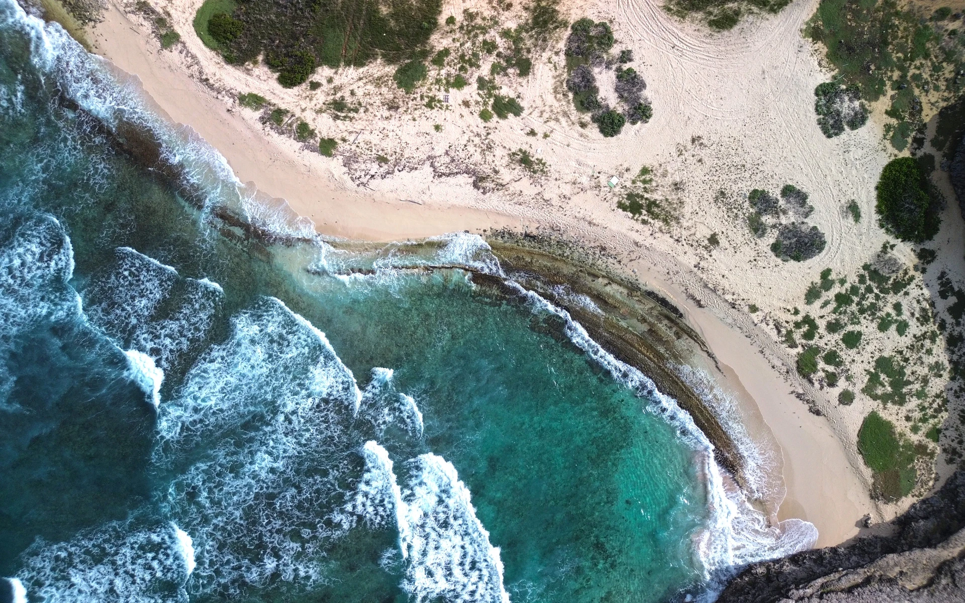 Beach di Fossil Aruba drone photo
