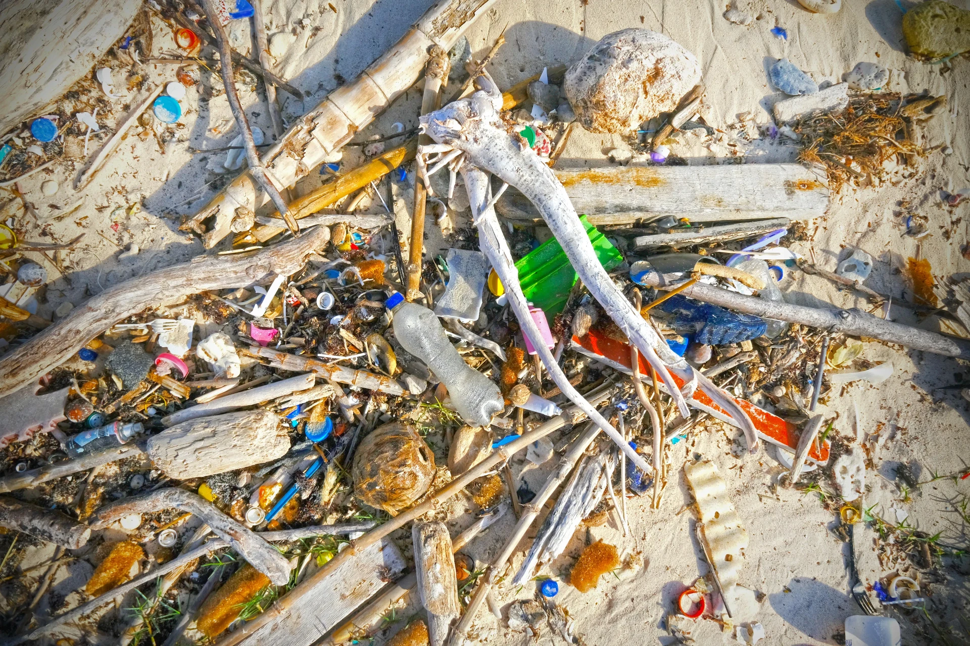 Bachelor's Beach Aruba
