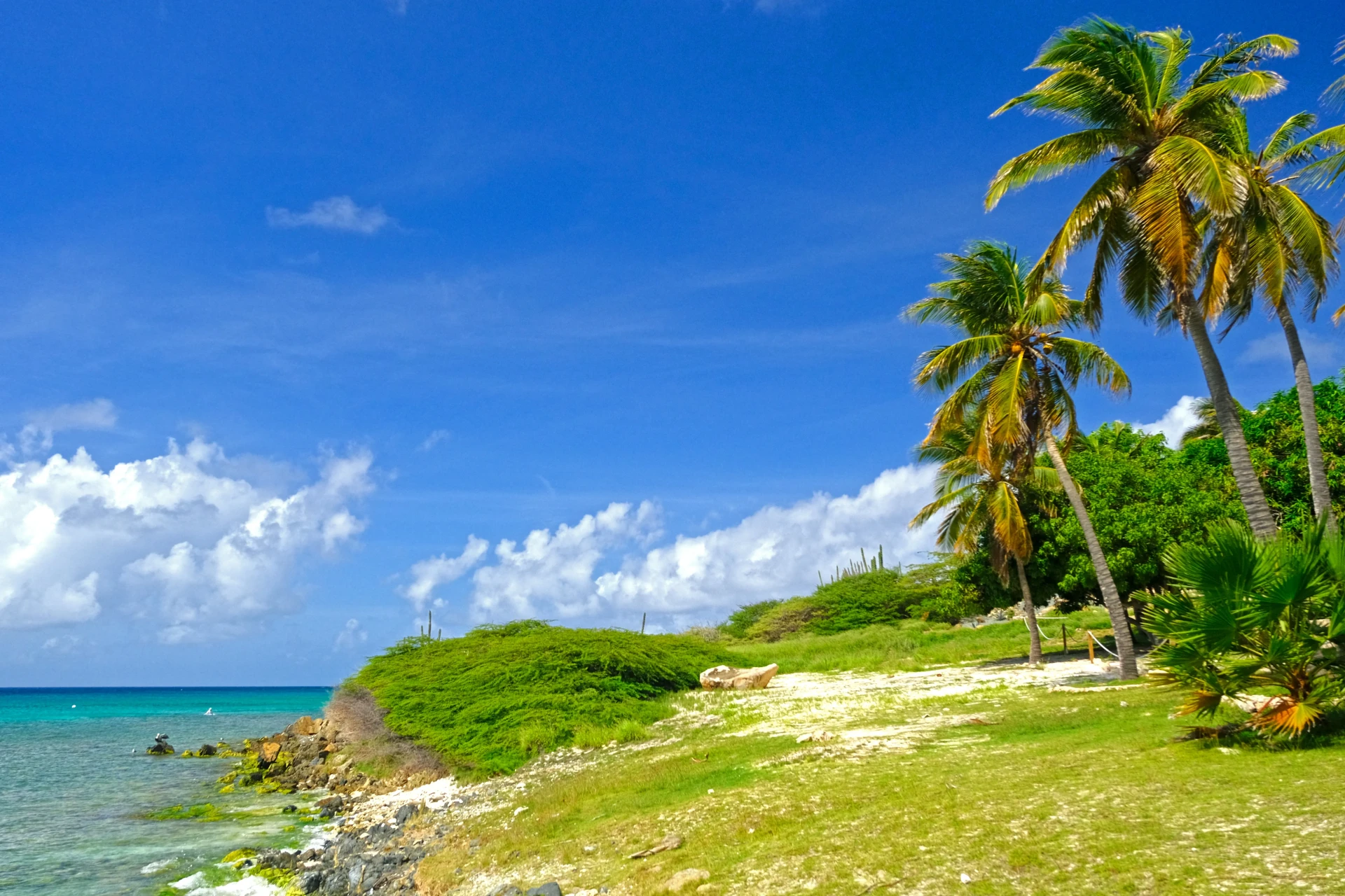 Boca Catalina Beach Aruba