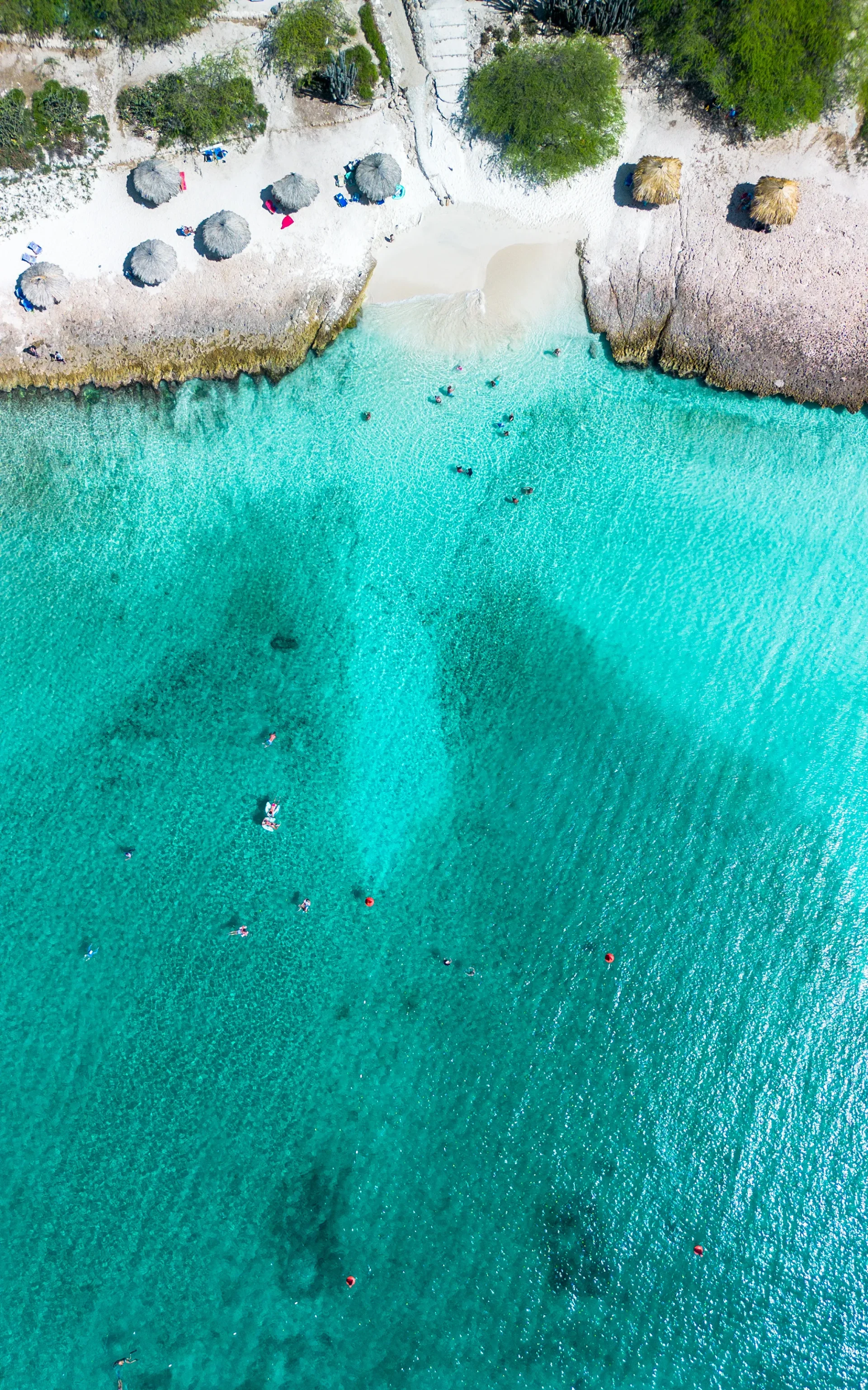 Boca Catalina Beach Aruba drone shot