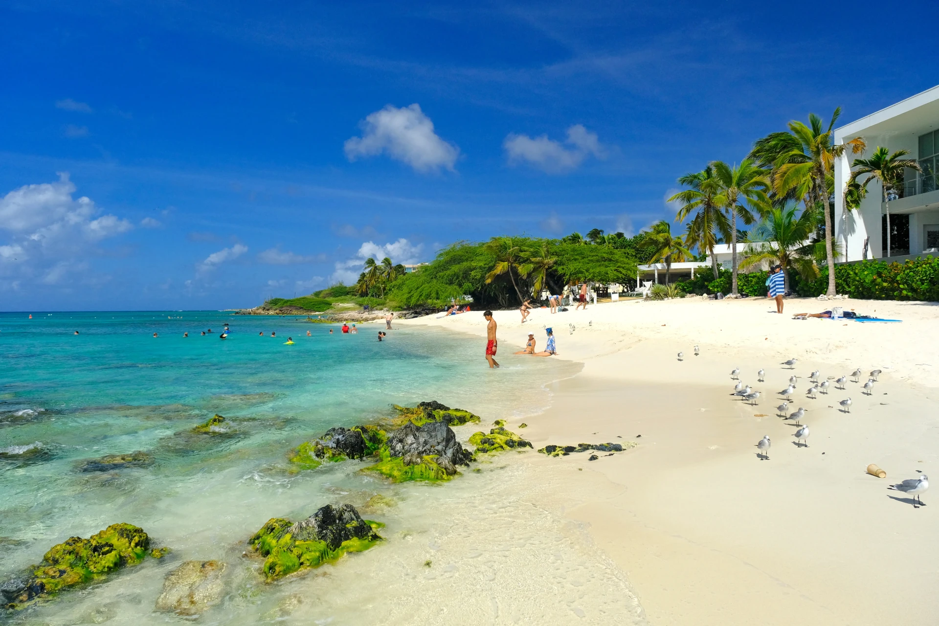Boca Catalina Beach Aruba